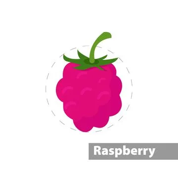 Red raspberries vector flat illustration icon Stock Illustration