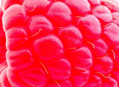 Red raspberry background. Stock Photos