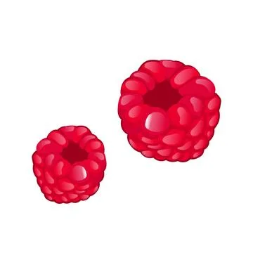 Red raspberry in flat design. Sweet summer two berries, juicy dessert. Vect.. Stock Illustration