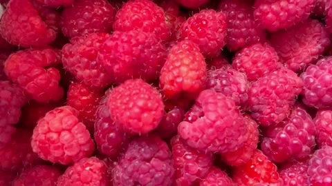 Red raspberry Stock Footage 202609526