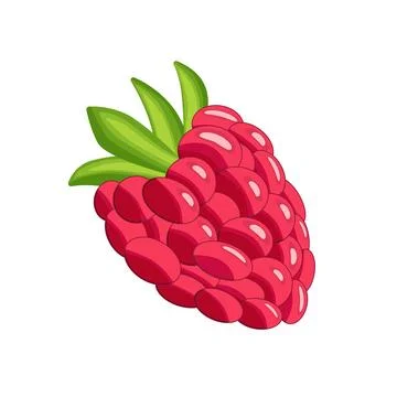 A red raspberry with a green leaf on top. The raspberry is shown in a cartoon Stock Illustration