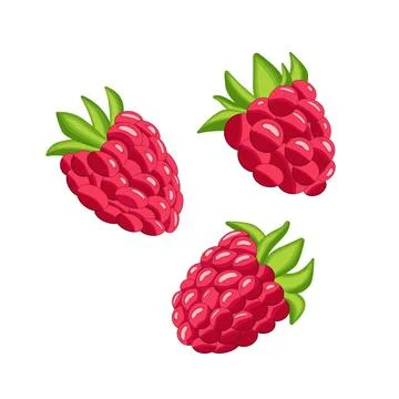 A red raspberry with a green leaf on top. The raspberry is shown in a cartoon Stock Illustration