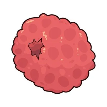 Red Raspberry illustration Stock Illustration