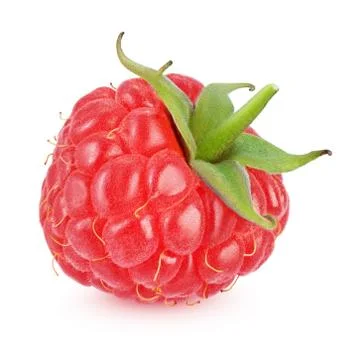 Red raspberry isolated on white background Stock Photos