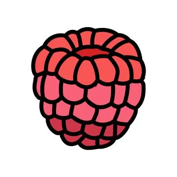 Red raspberry ripe fruit color icon vector illustration Stock Illustration
