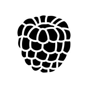 Red raspberry ripe fruit glyph icon vector illustration Illustrazione stock
