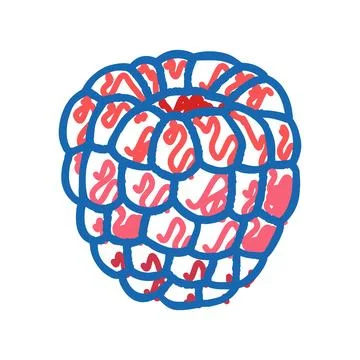 Red raspberry ripe fruit icon doodle illustration Stock Illustration
