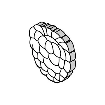 Red raspberry ripe fruit isometric icon vector illustration Stock Illustration