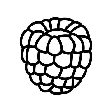 Red raspberry ripe fruit line icon vector illustration Stock Illustration