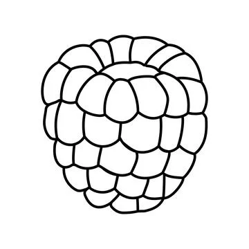 Red raspberry ripe fruit line icon vector illustration Illustrazione stock