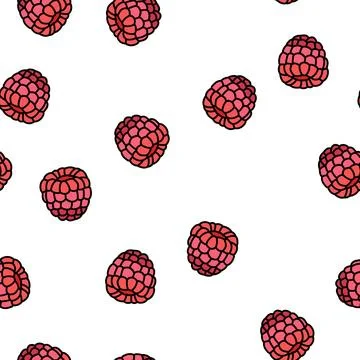 Red raspberry ripe fruit vector seamless pattern Stock Illustration