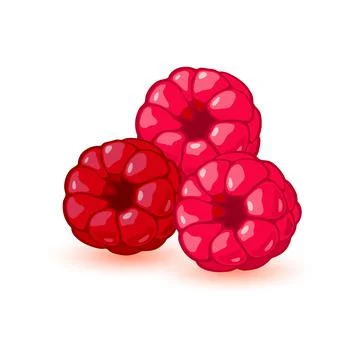 Red raspberry. Summer fruitage. Three sweet ripe berries. Stock Illustration