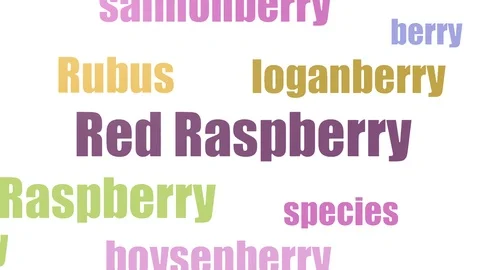 Red Raspberry Tagcloud Animated Isolated On White Stock Footage 103669800