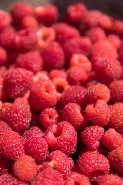 Red raspberry texture or backround. CG render Stock Photos