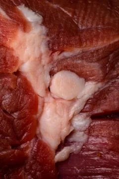 Red raw beef meat with chunk of fat Stock Photos