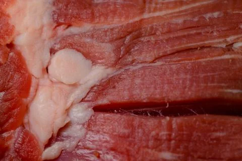 Red raw beef meat with chunk of fat Stock Photos