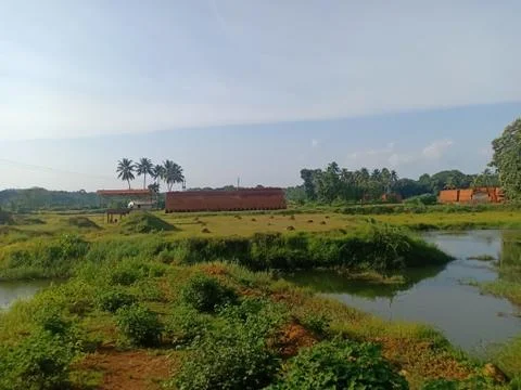 Red raw bricks stack in a row , coconut trees and beautiful pond Stock Photos