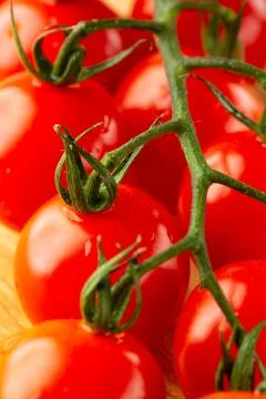 Red raw cherry tomatoes looking clean and tasty Stock Photos