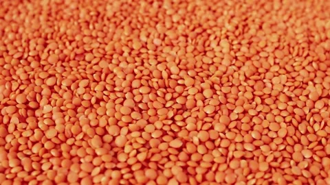 Red raw lentils rotating. Selective focus. Food background. Healthy food. Stockbeeldmateriaal 231493271