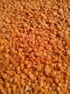 Red raw organic lentils texture. Food ingredient background. Nepal Stock Photos