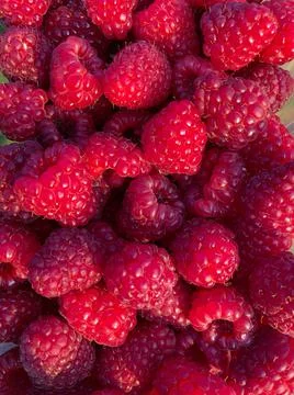 Red real raspberry fruit a background Stock Photos