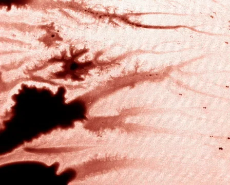 Red Red Blood Stock Footage