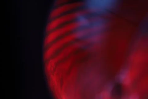 Red reflections of liquid in macro, red surface Stock Photos
