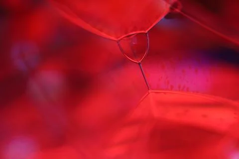 Red reflections of liquid in macro, red geometric shapes Stock Photos