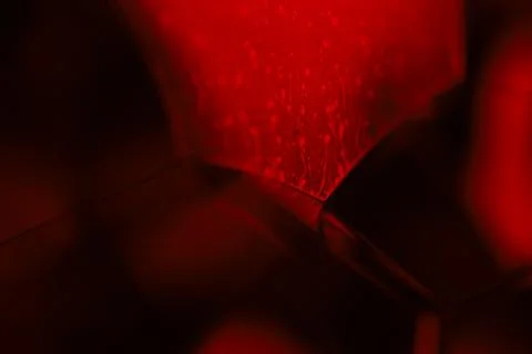 Red reflections of liquid in macro, red liquid surface, bubbles in macro Stock Photos