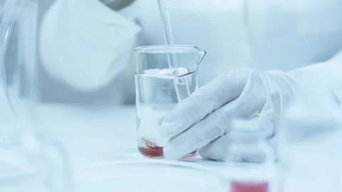 Red regent.  Stock Footage 248307003