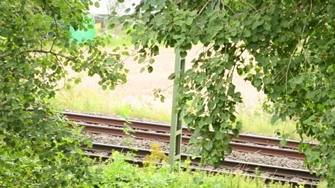 Red Regional Train Passing By Video Stock Footage 281107757