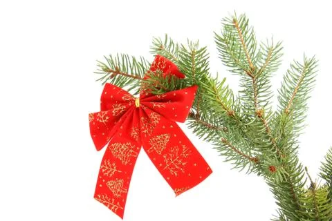 Red ribbon on a tree Stock Photos