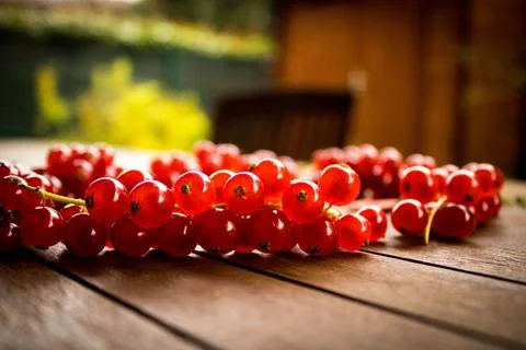 Red ribes on wood table Stock Photos