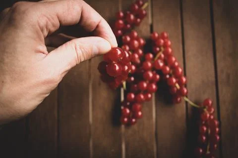 Red ribes on wood table Stock Photos