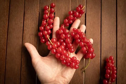 Red ribes on wood table Stock Photos