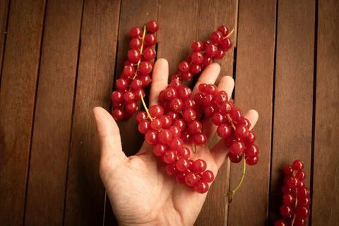 Red ribes on wood table Stock Photos