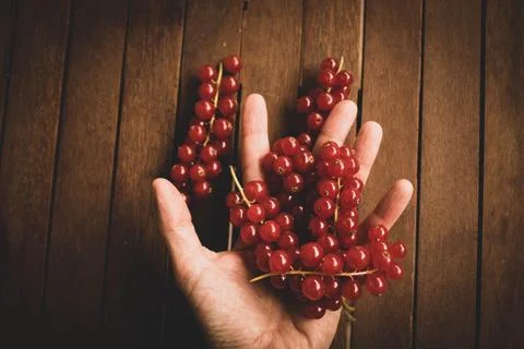 Red ribes on wood table Stock Photos