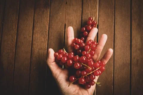 Red ribes on wood table Stock Photos