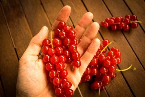 Red ribes on wood table Stock Photos