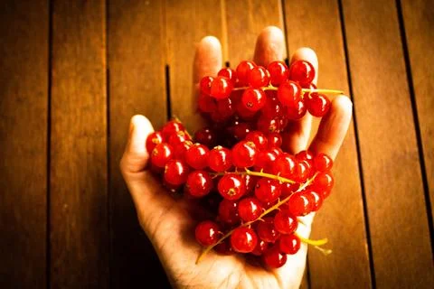 Red ribes on wood table Stock Photos