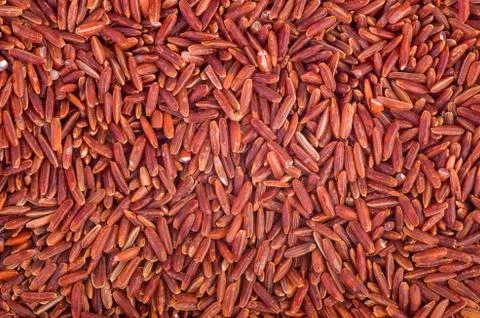 Red rice background Stock Photos
