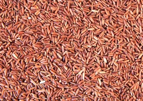 Red rice background Stock Photos