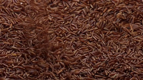 Red rice falling from top in slow motion 96 fps Vidéo 108511070