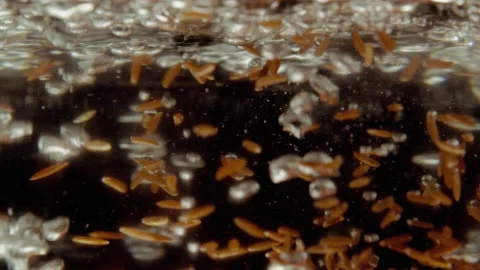 Red rice grains falling in boiling water (inside view) Stock Footage 135058234