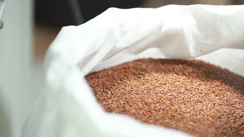 Red rice making in thailand Stock Footage 126654972