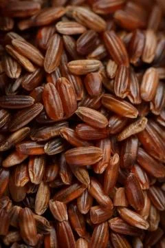 Red rice Stock Photos