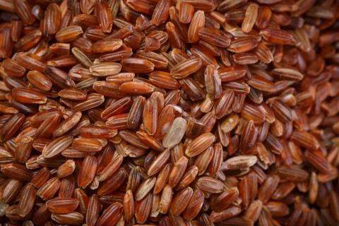 Red rice Stock Photos