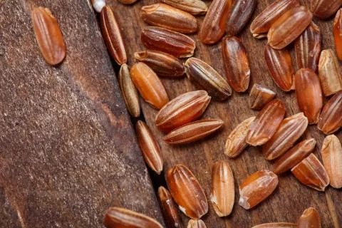 Red rice Stock Photos