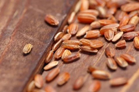 Red rice Stock Photos