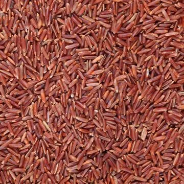 Red rice Stock Photos